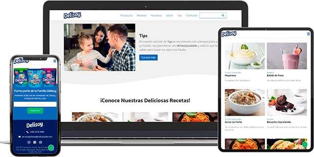 Delisoy website